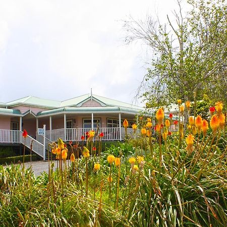Bed and Breakfast Matakohe House Esterno foto
